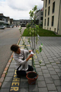 bemalter pflanzentopf, taufgeschenk apfelbaum