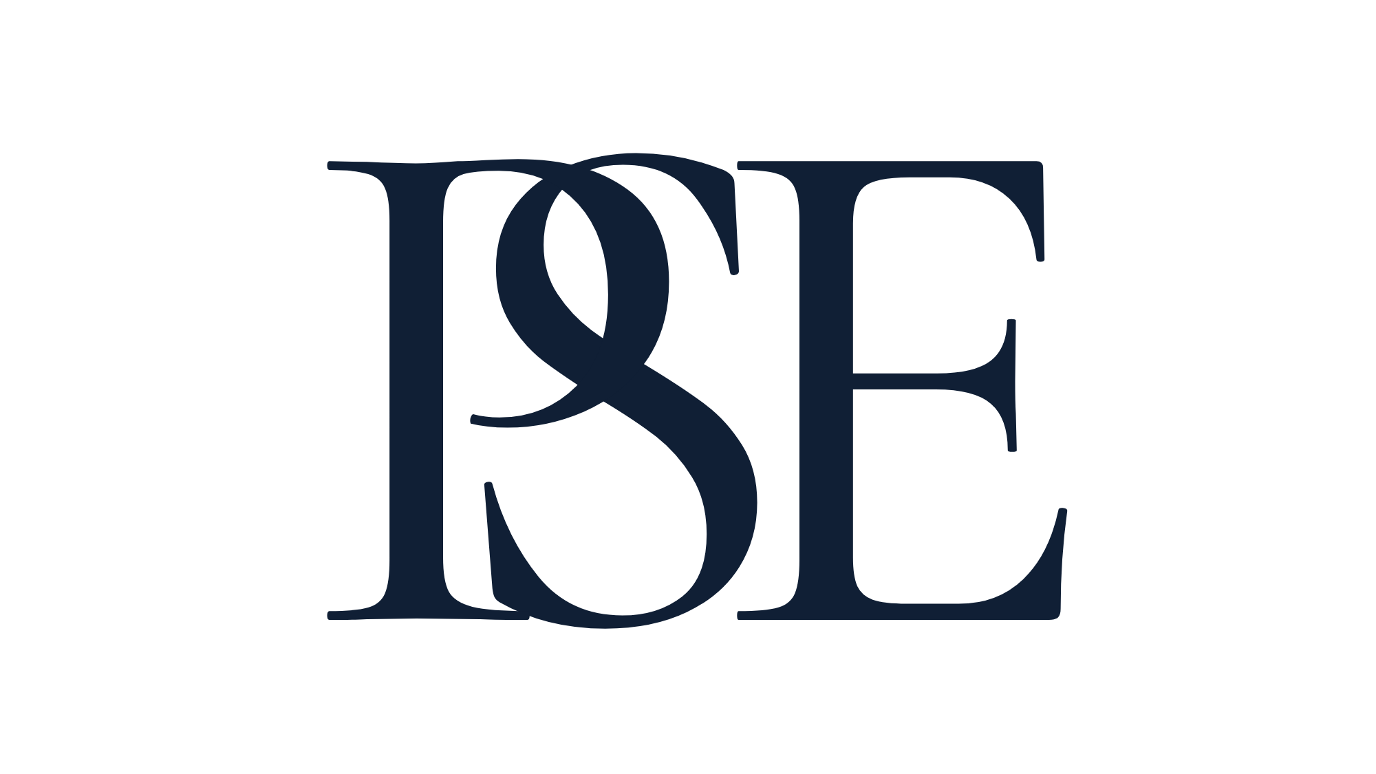 pse precious self experience logo sabrina baetscher